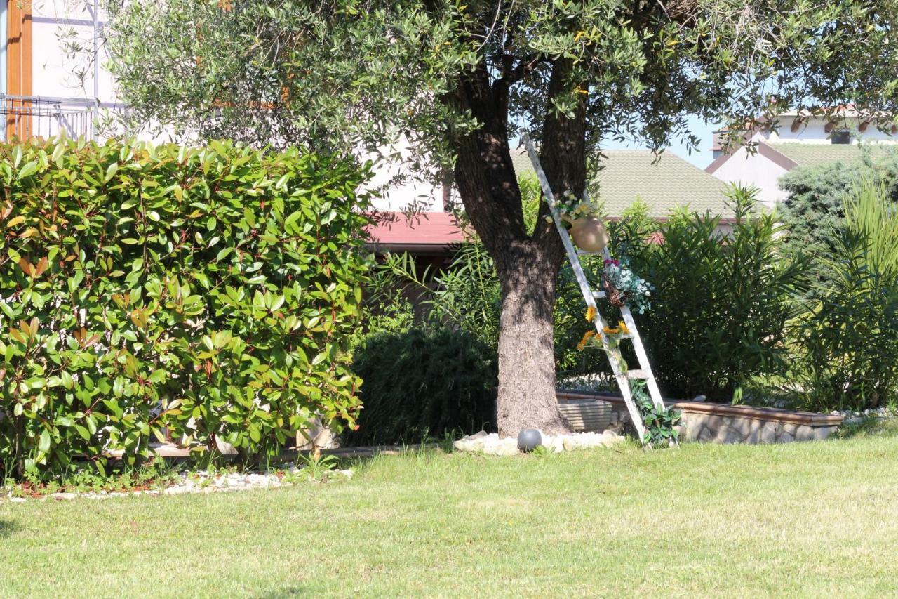 Bed & Breakfast Mafi Orsogna Dış mekan fotoğraf