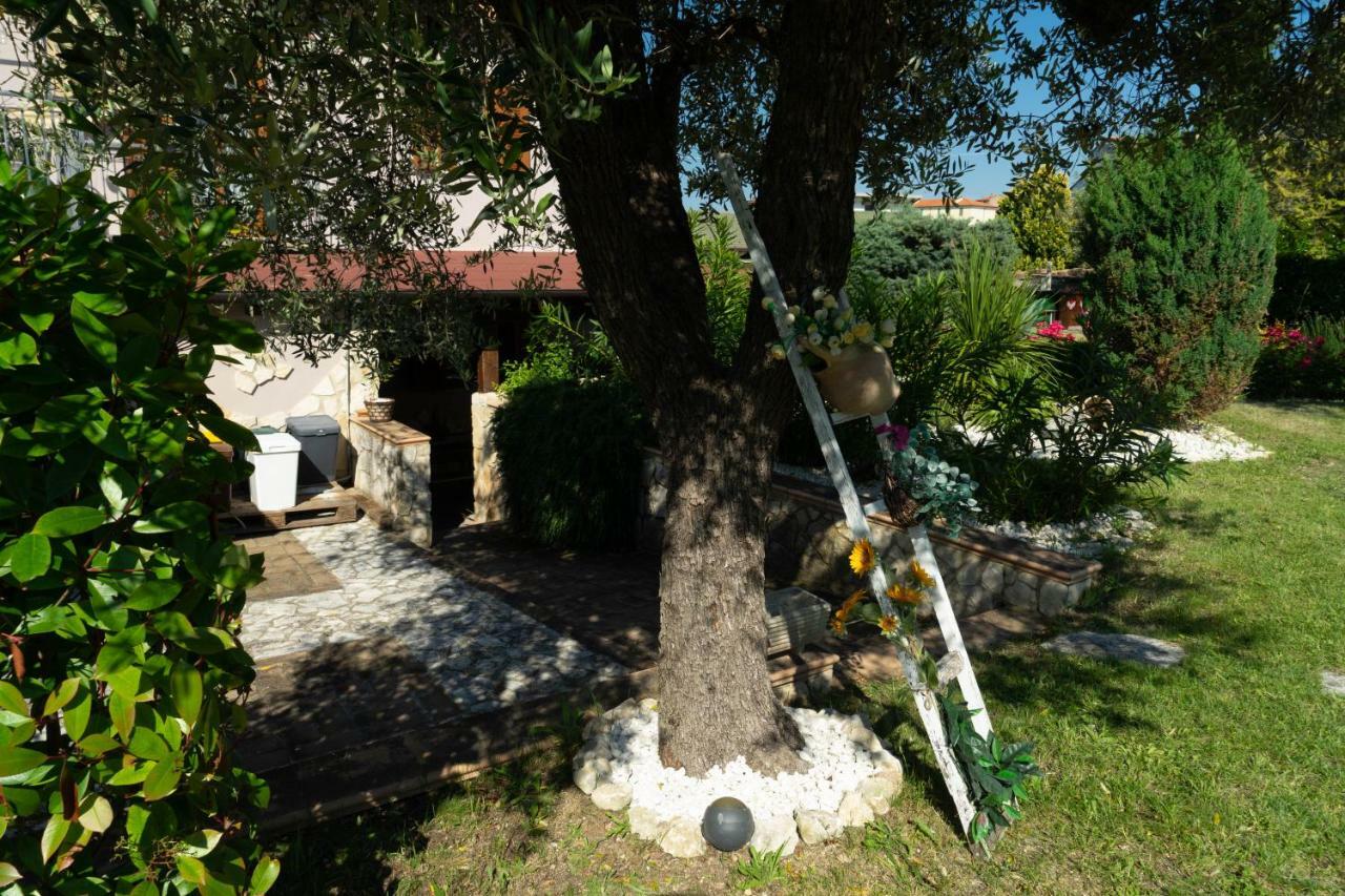 Bed & Breakfast Mafi Orsogna Dış mekan fotoğraf