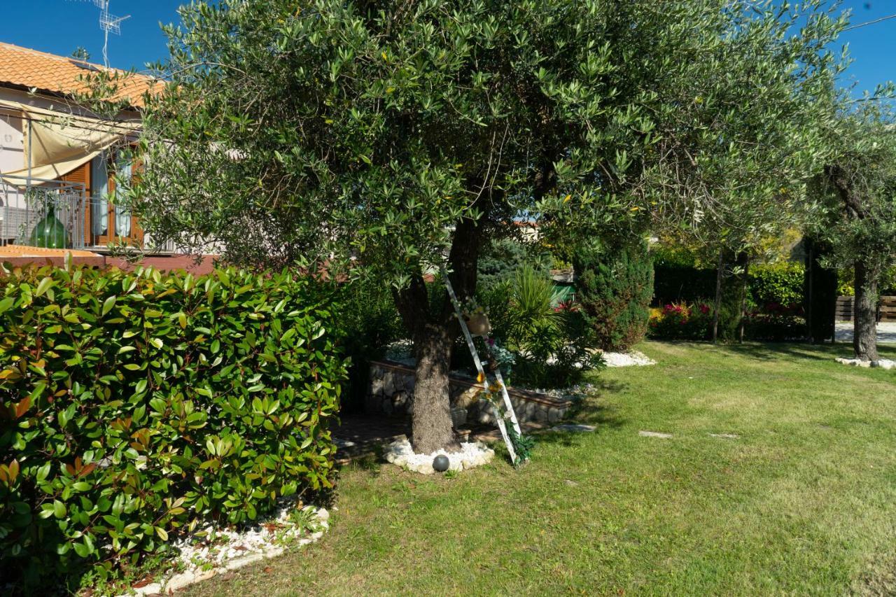 Bed & Breakfast Mafi Orsogna Dış mekan fotoğraf